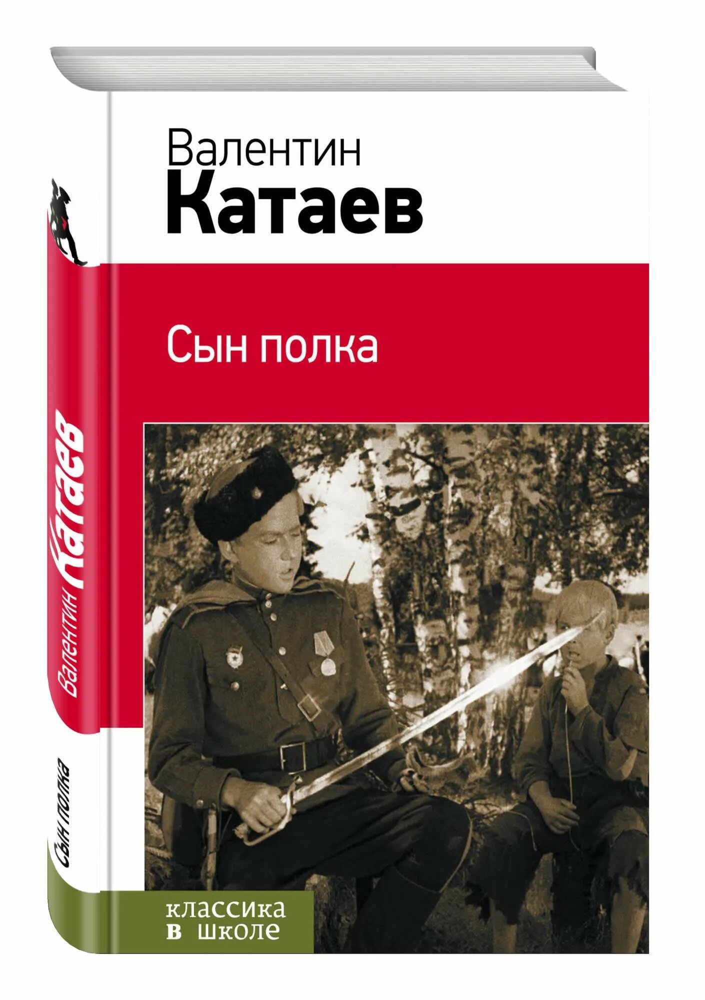 В П Катаева сын полка. Книга Катаева сын полка.