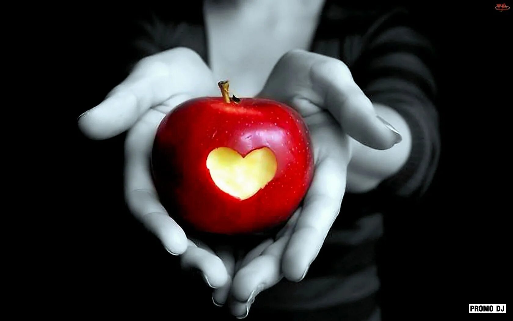Яблоня любовь. Яблоко любви. Яблоко в руке. Яблоко в протянутой руке. Яблоко сердце.