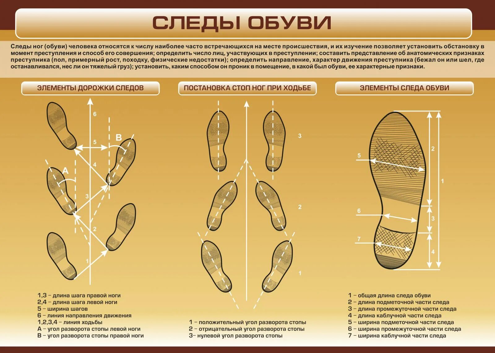 Элементы дорожки следов обуви. Части подошвы обуви трасология. Классификация следов пограничное следопытство. Схематическая зарисовка дорожки следов обуви. Подметка обуви криминалистика.