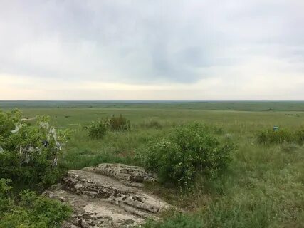 Волгоградская область суровикинский районный