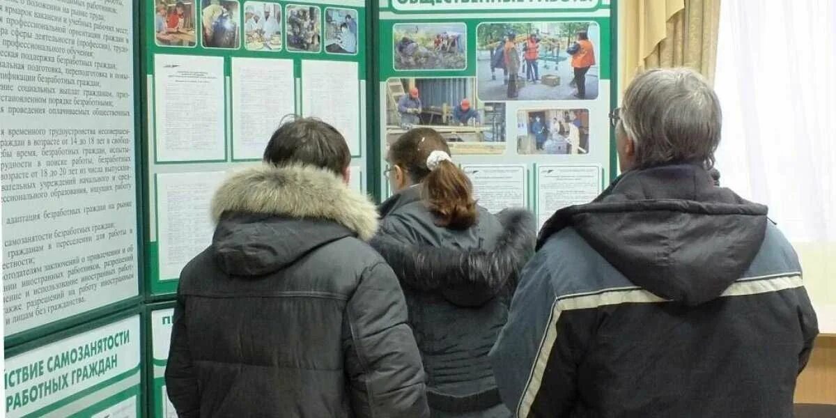 Цзн общественные работы