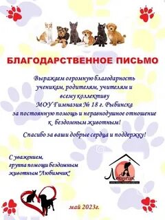 Помощь животных рыбинск