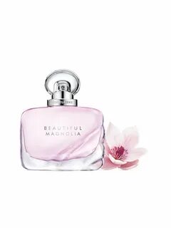 Beautiful magnolia