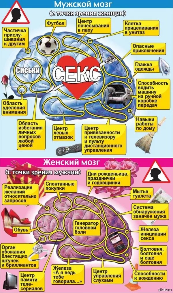 Мужской мозг. Женский мозг. Мозг мужчины и мозг женщины. Мужской и женский мозг.