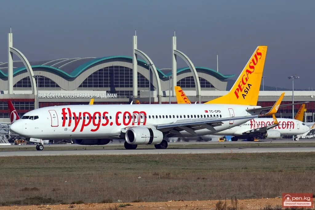 Купить авиабилет на самолет пегасус. Авиакомпания Pegasus Airlines. Пегасус Аэролайн. Пегасус Азия. Пегасус Бишкек Стамбул самолёт.