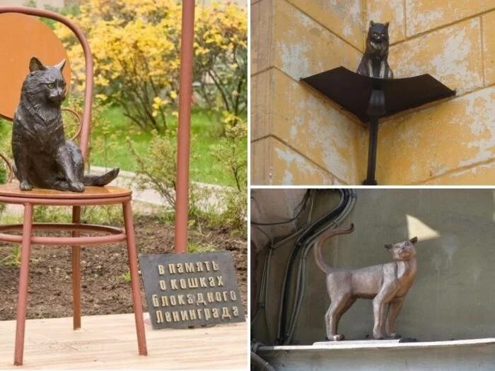 памятник блокадной кошке в петербурге. памятник блокадной кошке на улице композиторов. памятник котам блокадного ленинграда. памятник блокадной кошке на улице композиторов. памятник кошкам блокадного ленинграда в санкт-петербурге.