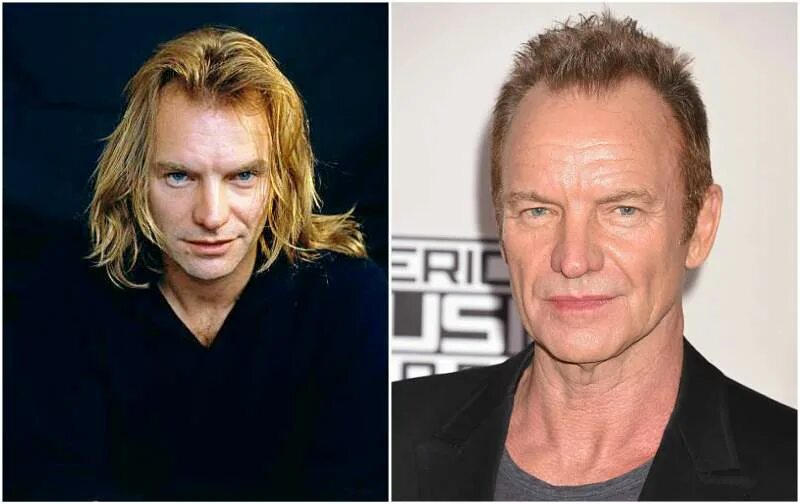Стинг певец фото в молодости и сейчас Концерт Sting в Москве 2017
