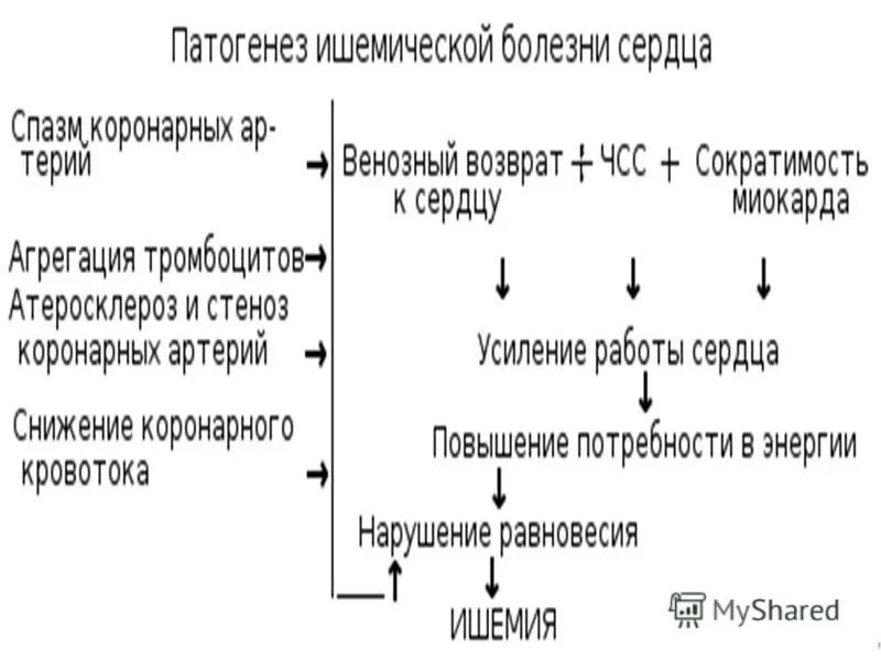 Инфаркт миокарда патогенез классификация. ИБС стенокардия патогенез. Ишемическая болезнь сердца этиология и патогенез. ИБС инфаркт миокарда этиология. Механизмы развития ишемии