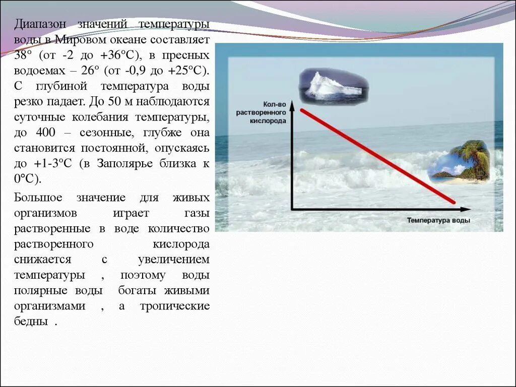 Камер температура воды. Температура воды в водоемах. Диапазон температуры воды. Значение температуры воды для водных организмов. Температура вод мирового океана.