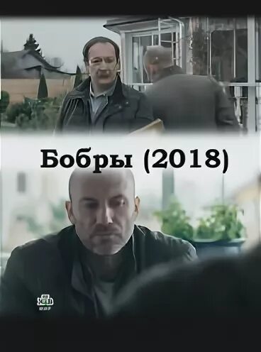 Бобры 2018