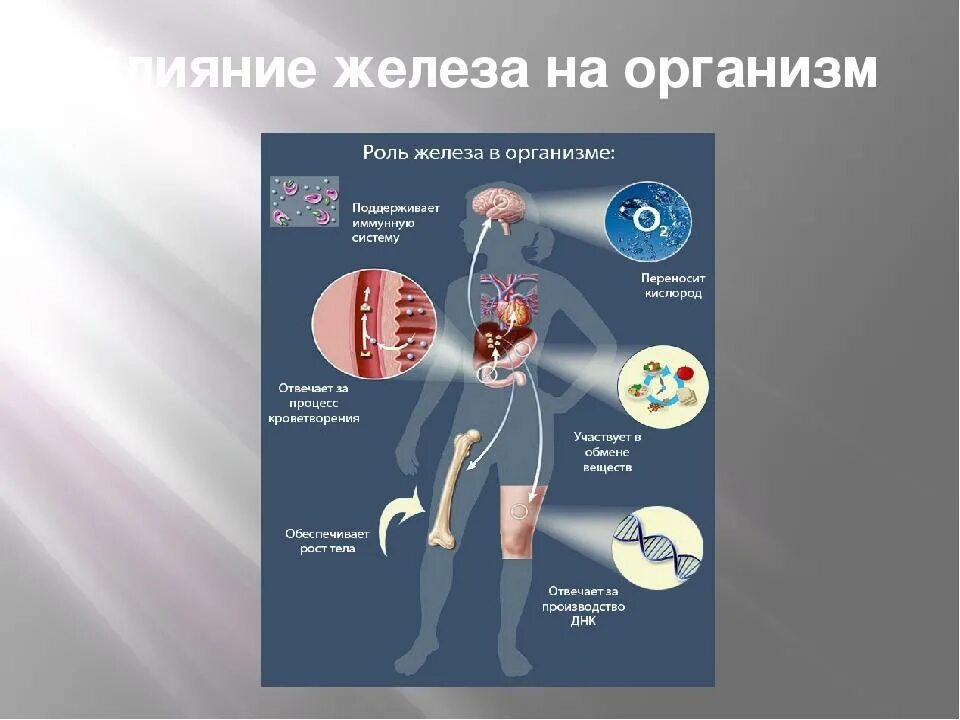 Повышено железо в воде. Влияние железа на организм. Роль железа. Железо влияние на организм человека. Роль железа в организме человека.