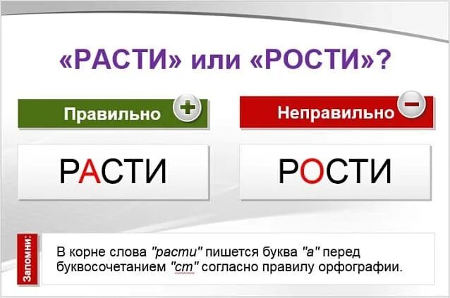 Будет расти или рости