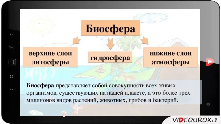 Биосфера таблетки. Биосфера и человек 8 класс ОБЖ. Биосфера это ОБЖ. Биосфера ОБЖ 8 класс. Человек план биосферы.