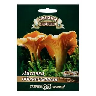 Лисички отзывы