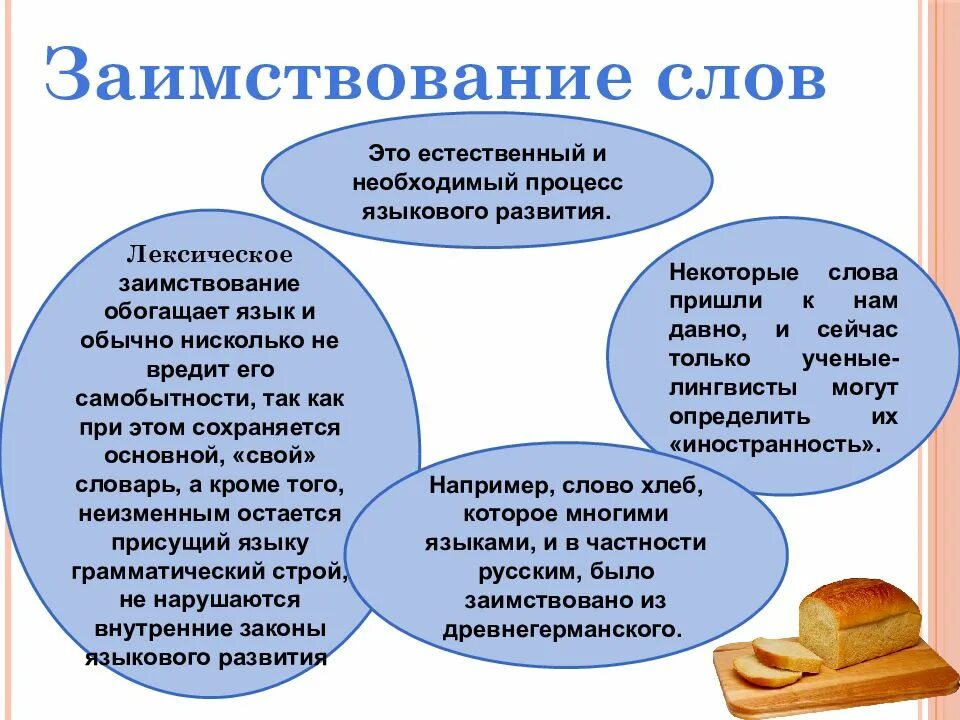 Заимствованные в современной речи. Заимствованные слова в русском языке. заимствование слов в русском языке. заимствованные иностранные слова в русском языке. заимствованые слова в рус языке.