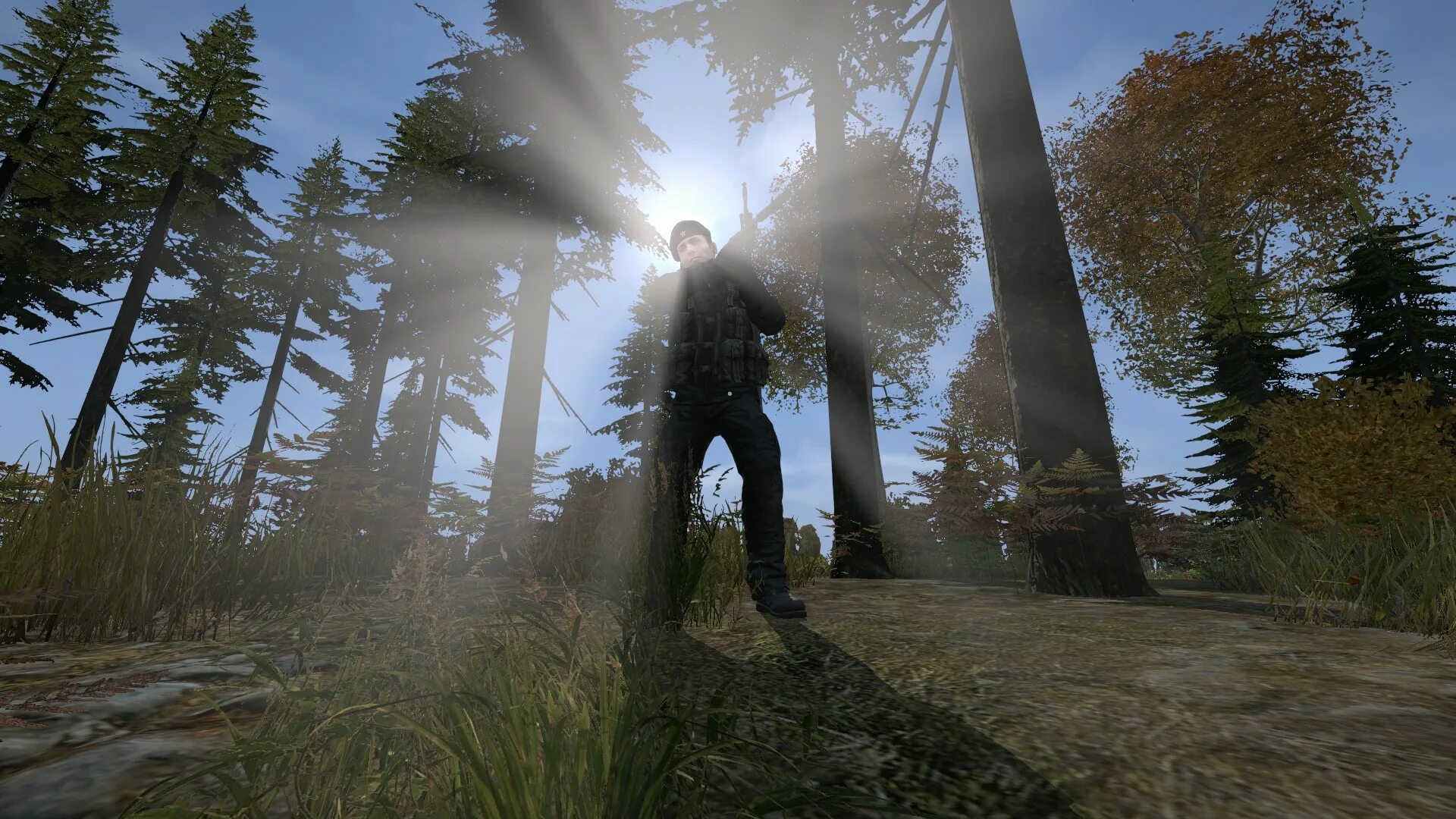 DAYZ Standalone 1.18. Раст Дейзи. DAYZ RTX. Трава DAYZ. Игры похожие на дейз