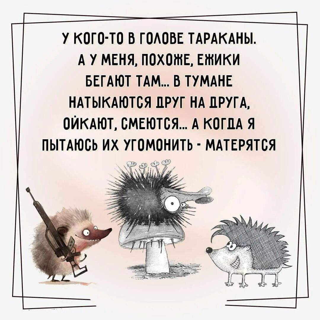 Летели два ежика. День пьяного ежика. тараканы в голове. поздравления с днём пьяного ежика. ежик пятница.