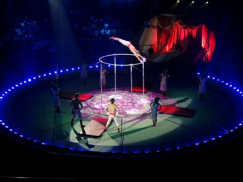 Водный цирк. Тульский цирк на воде. Вьетнамский цирк на воде. Цирк на воде Волгоград.