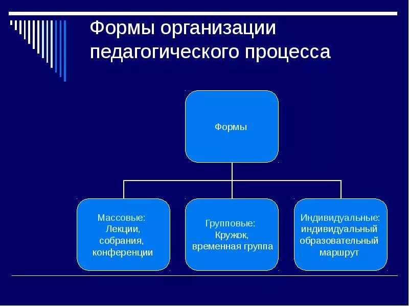 Основные формы образовательных организаций. Формы организации учебного процесса. Формы организации целостного пед процесса. Формы организации педагогического процесса. Форма организации это в педагогике.