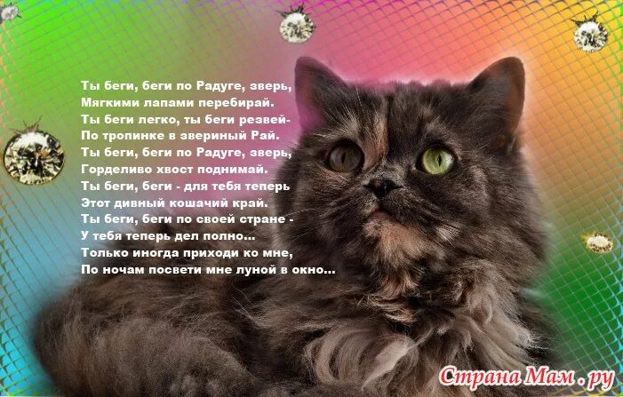 Коты уходят на радугу стихи. Стихи о котах которые ушли. Стихи кошкам ушедшим на радугу. Стихи о котиках и кошечках ушедших на радугу. Стихи посвященные кошкам.