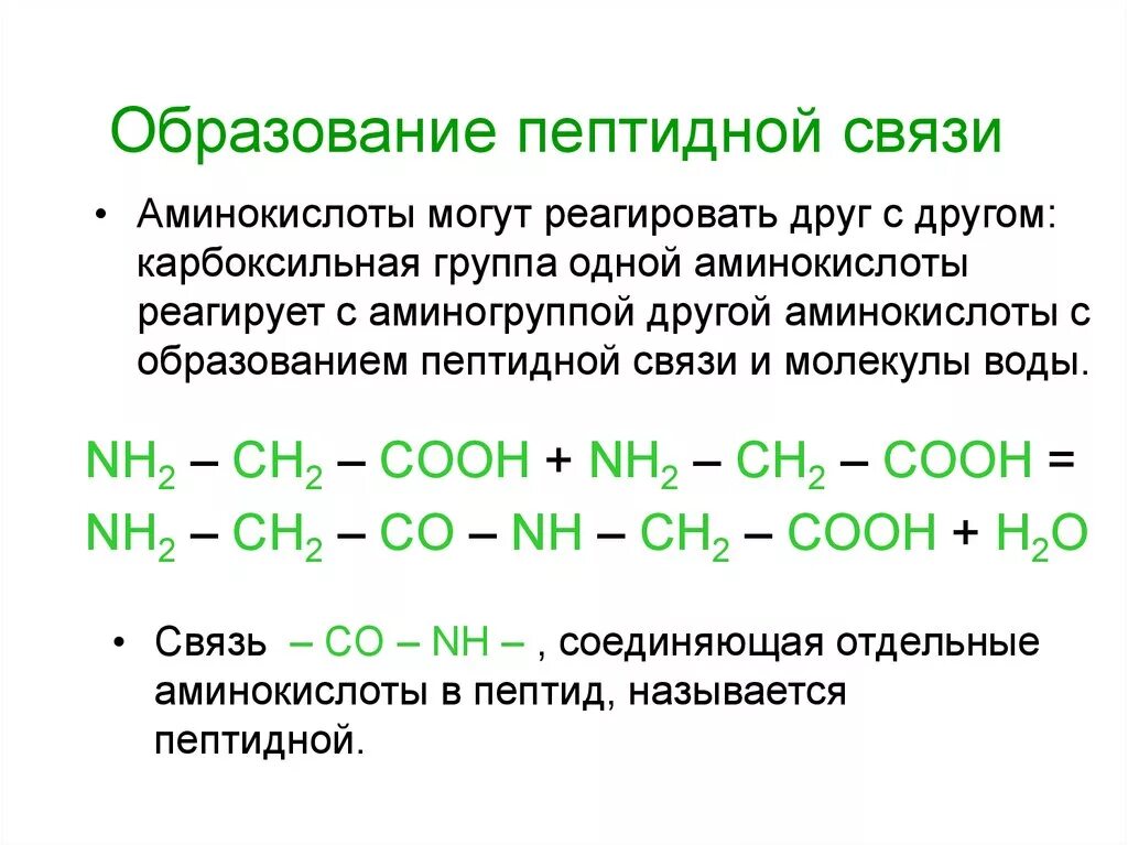 В образование участвуют пептидные связи. Аминокислоты схема образования пептидной связи. Образование пептидной связи схема реакции. Нарисуйте схему образования пептидной связи.. Механизм образования пептидной связи.