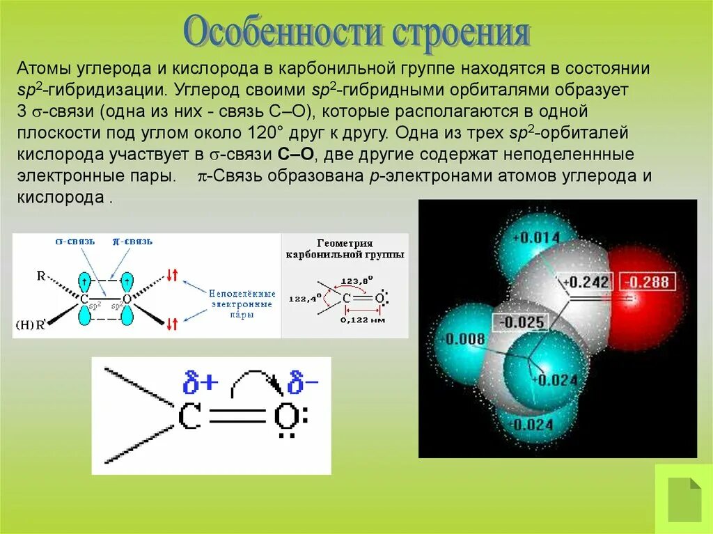 Особенности строения связанной воды