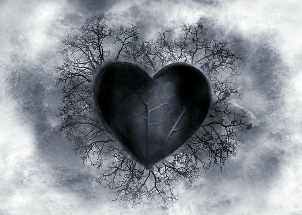 Человек разбившийся сердце. Черные сердца. Черствое сердце. Красивое черное сердце.