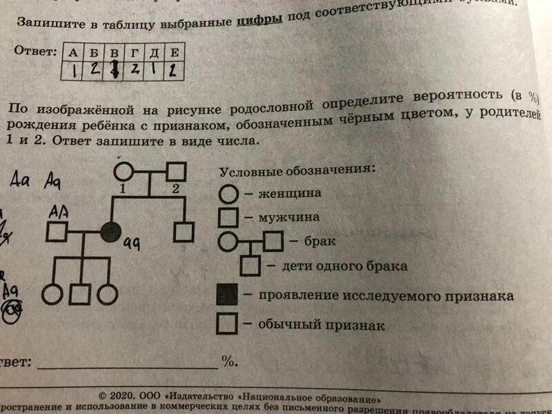 Родословная биология 11 класс. Задачи по родословной. Решение задач на родословную. Задачи на родословную. Родословные ЕГЭ по биологии.