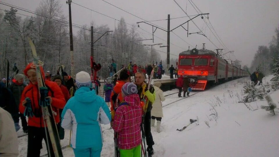 Лыжный спорт. Лыжная стрела токсово. 018с лыжная стрела. Лыжная стрела кассир. Лыжная стрела токсово.