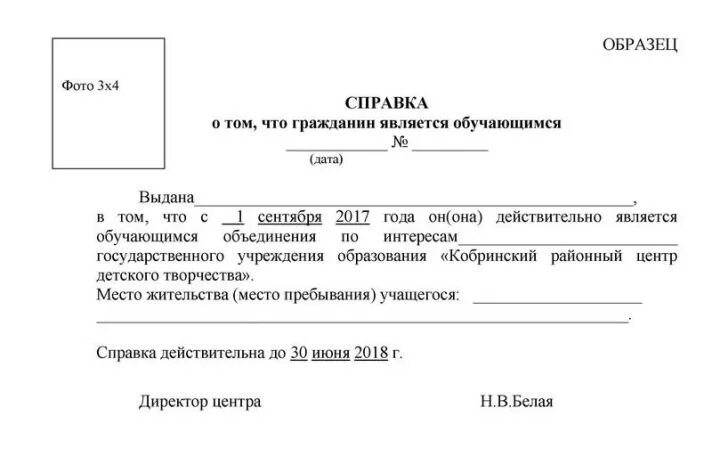 Справка о том что ребенок учится в школе образец. Справка из школы что ребенок учится в школе образец. Справка о том что ребенок является учащимся школы. Справка о том что ученик обучается в школе образец. Справка о работе классных руководителей