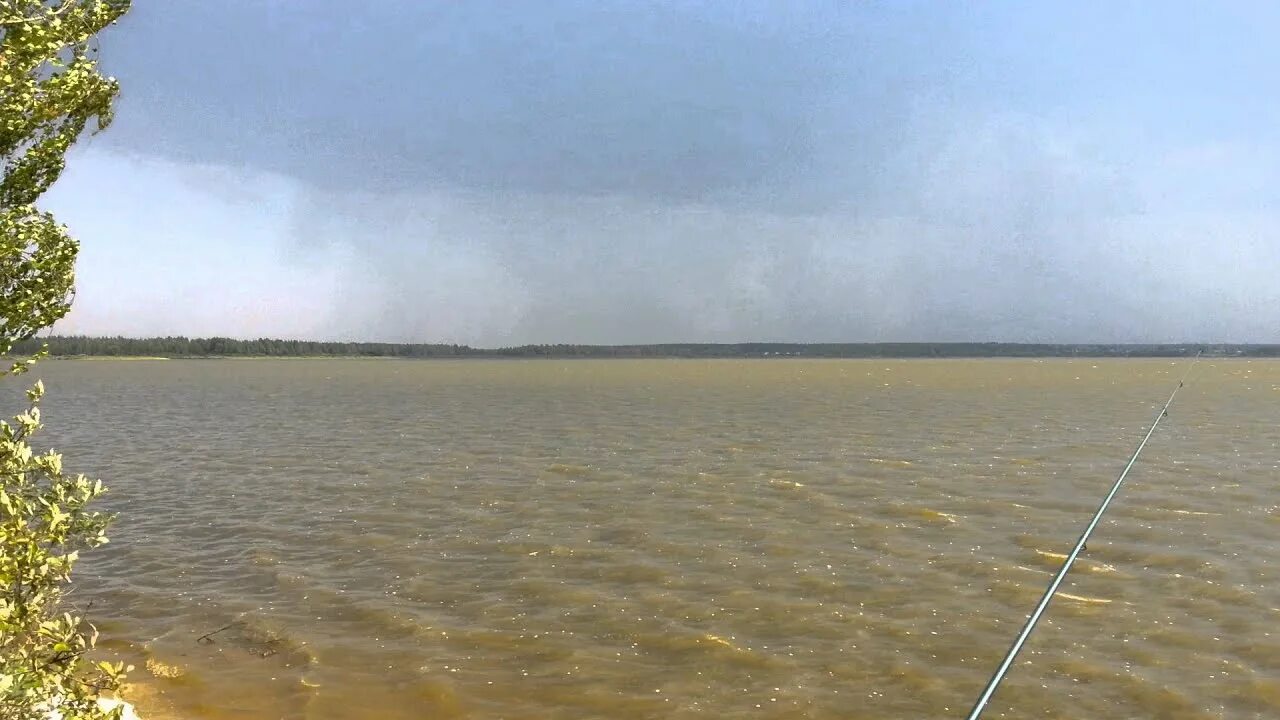 Озеро белое белозерье рязанская область. Беленькое озеро спас клепики. Озеро белое рязанская область клепиковский. Мещерские озера рязань. Белое озеро (рязанская область, северное).