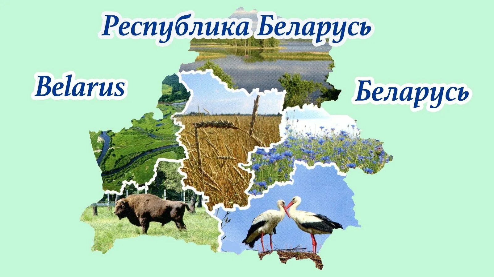 Проект год на беларусь. 2023 в беларуси объявлен годом. Коллаж по белоруссии. Проект год на беларусь. Проект год на беларусь.