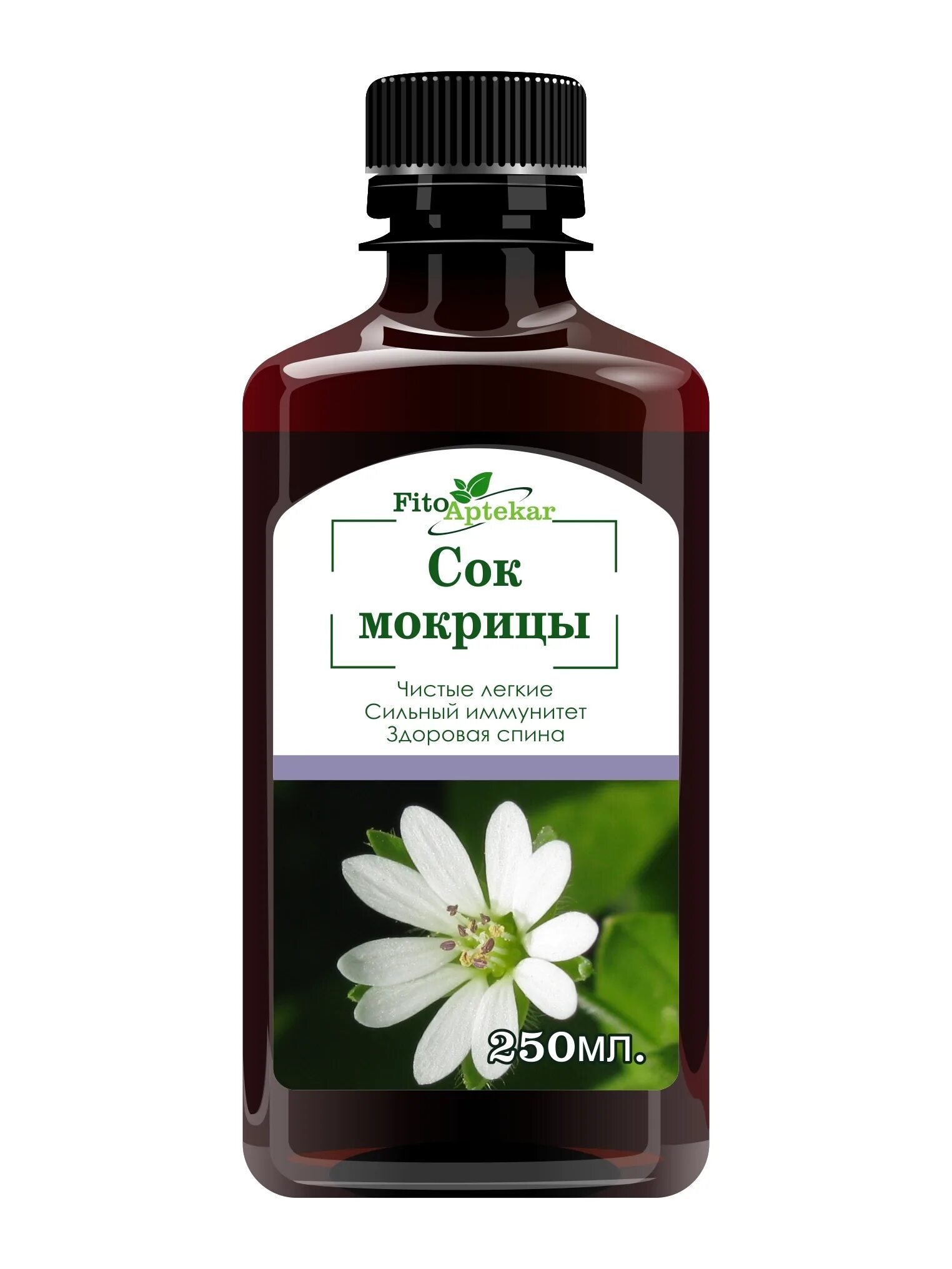 Настой мокрицы. Настойка звездчатки настойка звездчатки. мокрица аптечная звездчатка аптечная. трава звездчатка мокрица. сок мокрицы.