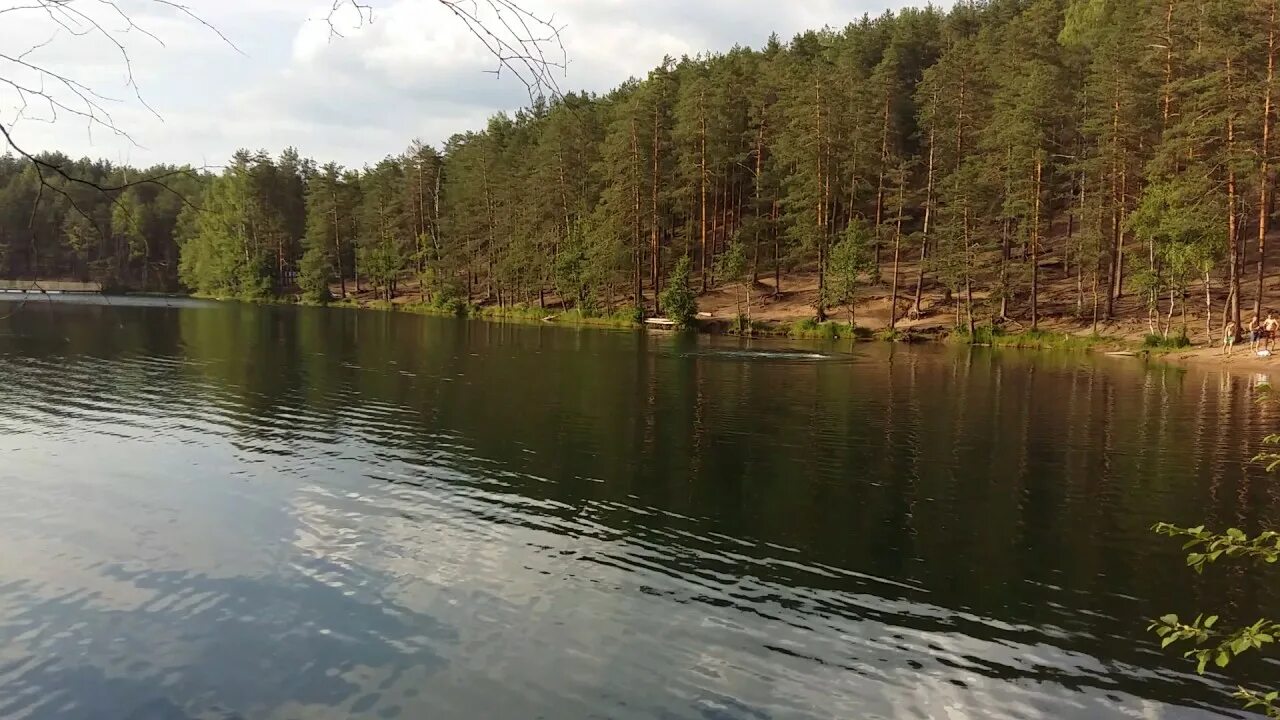 Озеро Радужное Семиозерье. Гладышевское озеро Семиозерье. Голубое озеро Выборгский район. Семиозерье озеро длинное Ленинградская область.