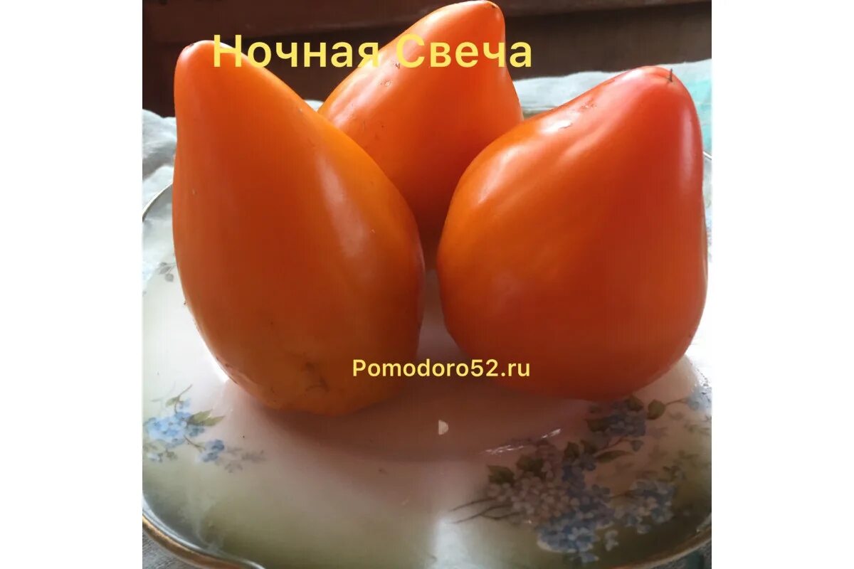 Томаты свеча описание сорта фото отзывы koiko 17026 купить по выгодным ценам в интернет-магазине OZON