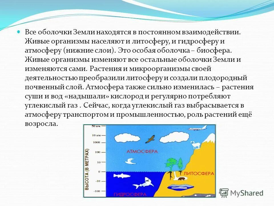 Влияние биосферы на гидросферу примеры