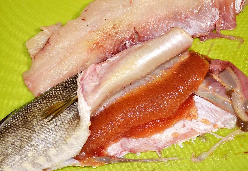 Форель беломясая. Форель цвет мяса. Радужная форель цвет мякоти. Радужная форель белое мясо. Какого цвета форель внутри.