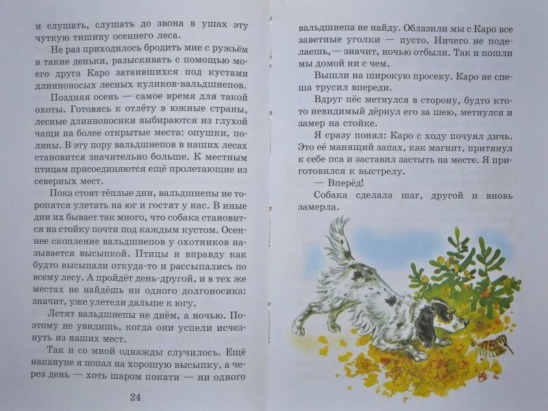 Скребицкий рассказы о животных. Скребицкий рассказы о природе. рассказы георгий скребицкий пушок. г скребицкий рассказы о природе. рассказы о природе паустовский скребицкий ушинский бианки.