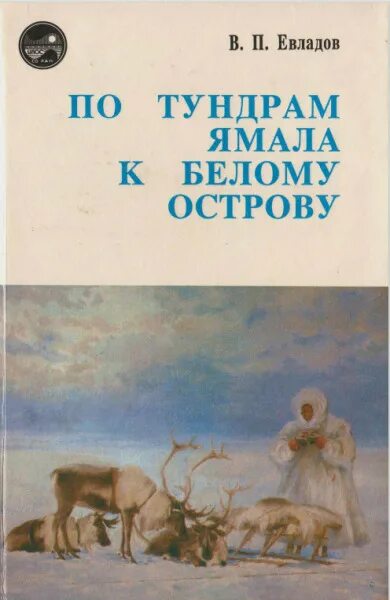 Книга столица. Книга тундры вуквукай маленький камень. Далви. Тундра книги. Тундра книги.