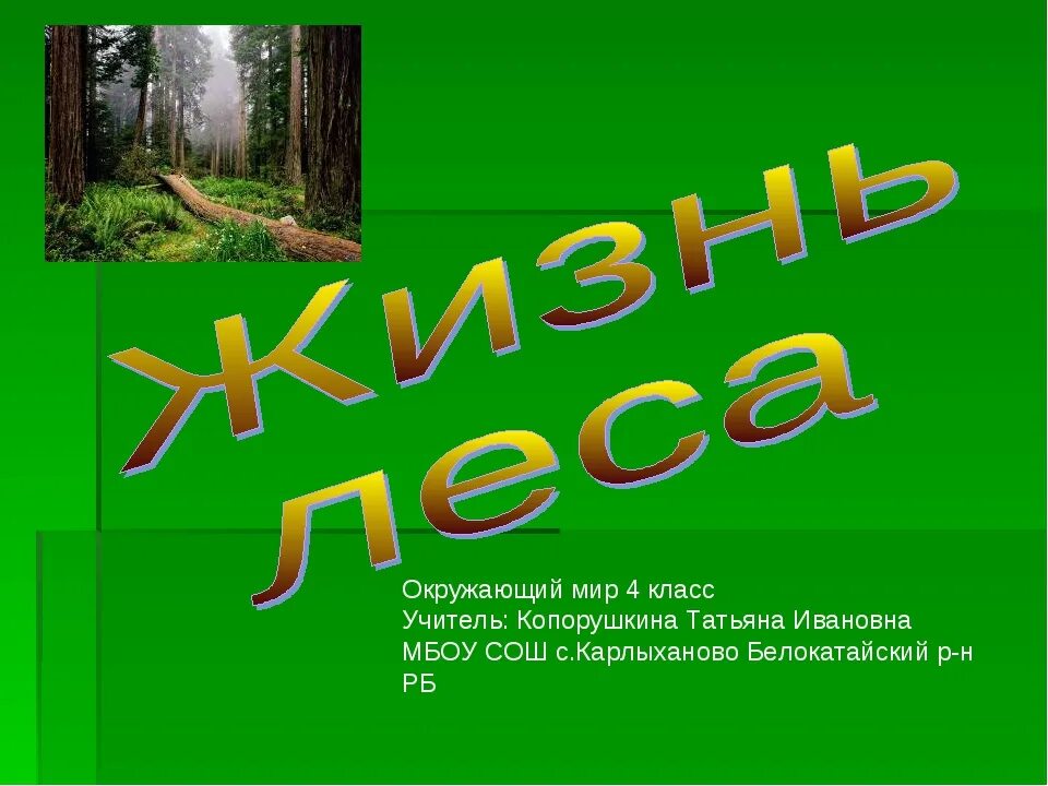 Лес презентация 4 класс плешаков. Проект жизнь леса. Жизнь леса 4 класс. Жизнь леса 4 класс презентация. Проект жизнь леса 4 класс.