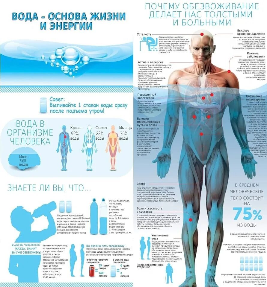 Вода в организме. Почему нужно пить воду. Вода в человеческом организме. Вода в организме человека плакат. Почему много жидкости на