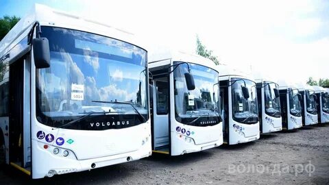 Новые автобусы вологда 2024