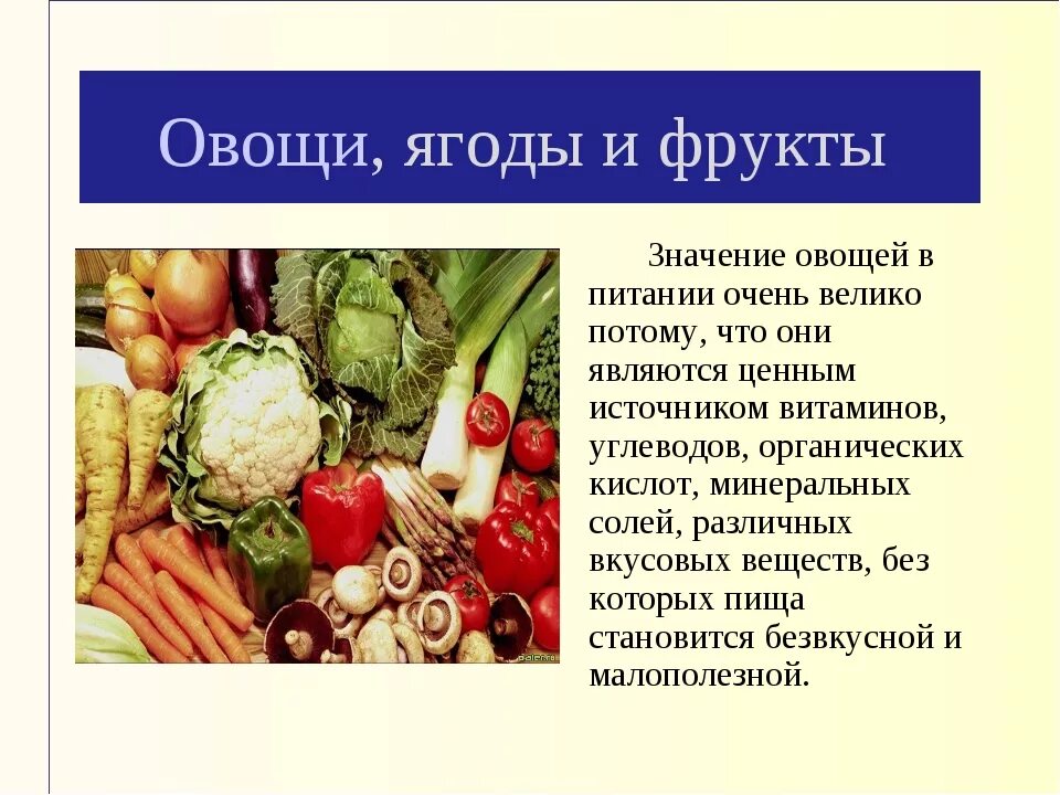 Какие фрукты относятся к овощам. Важность овощей в питании. Овощи ягоды и фрукты витаминные продукты презентация. Роль овощей и фруктов в питании. Овощи в питании человека.