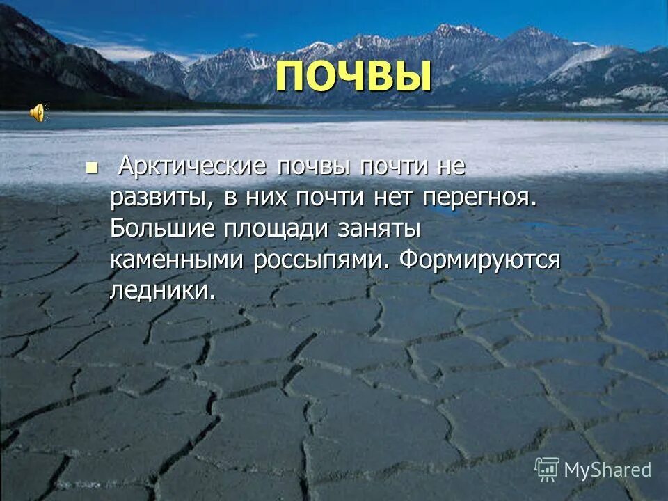 Арктические пустыни почвы. Почва в арктических пустынях. Условия формирования арктических почв. Почва арктики 8 класс. Арктические почвы в какой природной зоне.