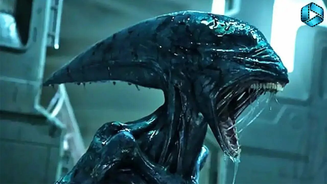 Alien romulus spoilers. Федерико альварес чужой. Alien romulus spoilers. Alien romulus spoilers. Alien romulus spoilers.