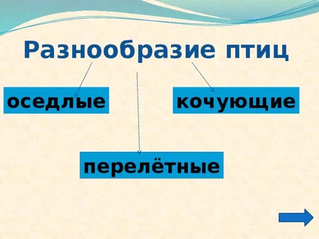 Оседлые это какие. Кочующие птицы. Оседлые Кочующие. Оседлые птицы. Оседлые Кочующие и перелетные птицы примеры.