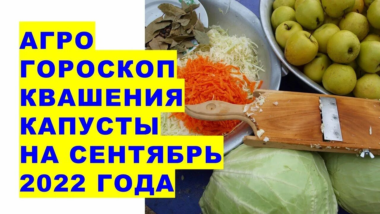 Календарь засолки капусты в феврале 2024 года. Упаковщик квашеной капусты. Благоприятные дни квашения капусты в сентябре. Когда можно квасить капусту в сентябре 2022 года еще не рано 02.09.2022г. Я капусту квашу Кись.