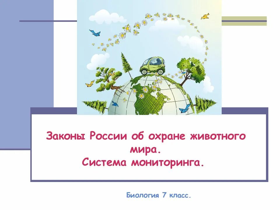 Закон об охране животных. Закон об охране животных