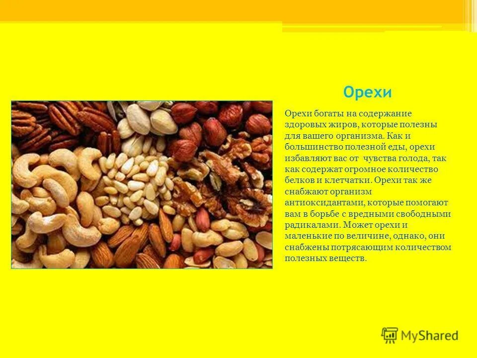 Орех фундук. Клетчатка в орехах таблица. Химический состав орехов таблица на 100 грамм. Чем полезен фундук. Фундук полезные свойства.