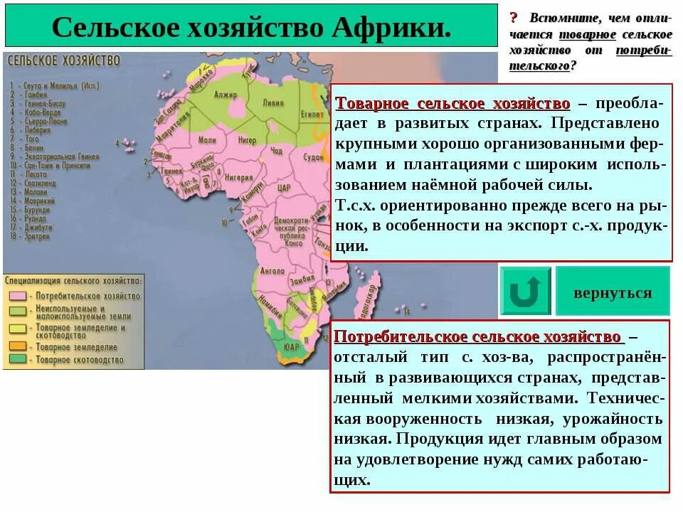 Особенности географического положения центральной африки. Сельское хозяйство Северной Африки карта. Тропическая Африка главные отрасли хозяйства. География 11 класс сельское хозяйство Африки таблица. Специализация сельского хозяйства Африки.